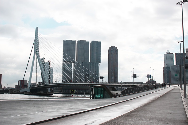 What to do in Rotterdam in one day