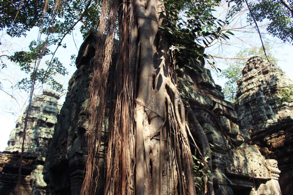 Guide to visiting the temples of Angkor in Cambodia 