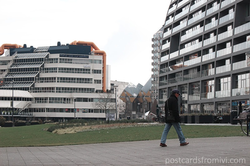 What to see in one day in Rotterdam